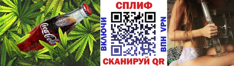 Canna-Cookies марихуана  купить закладку  Александров 