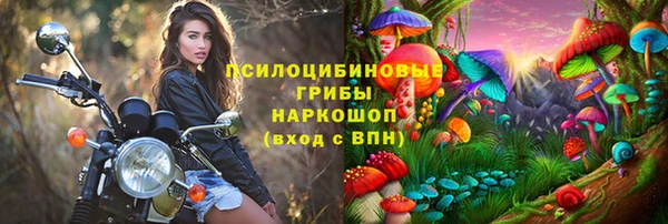 герыч Алексин